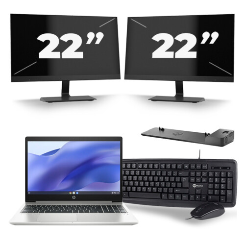 HP ProBook 450 G7 - Intel Core i5-10e Generatie - 15 inch - 8GB RAM - 256GB SSD - Windows 11 + 2x 22 inch Monitor