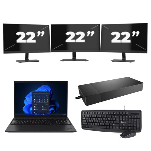 Lenovo ThinkPad T495 - AMD Ryzen 5 PRO 3500U - 14 inch - 16GB RAM - 256GB SSD - Windows 11 Home + 3x 22 inch Monitor
