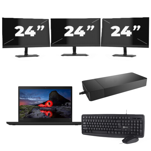 Lenovo ThinkPad T495 - AMD Ryzen 5 PRO 3500U - 14 inch - 16GB RAM - 256GB SSD - Windows 11 Home + 3x 24 inch Monitor
