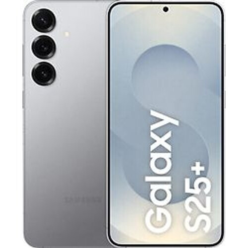 Samsung Galaxy S25 Plus Dual SIM 256GB silver shadow
