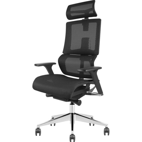 Stane Elite - Ergonomische Bureaustoel - Volledig aanpasbaar - Zwart